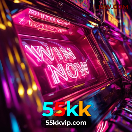 Interface 55kk